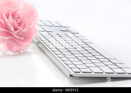 Rosa Rose und schlanke Tastatur Computer vor weißem Hintergrund. Soft Focus. Den Fokus in der Mitte der Tastatur und Rose. Stockfoto