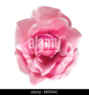 Künstliche Blumen auf einem weißen Hintergrund. Ein weiches Licht über Fabric Textur in rosa Farbe. Freistellungspfad Stockfoto