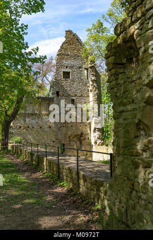 Ruinen des Klosters Disibodenberg. Welterbe Ruine der Disibod Kloster auf dem Gipfel des Hügels Disibodenberg bei Odernheim in Deutschland, Rheinland Stockfoto