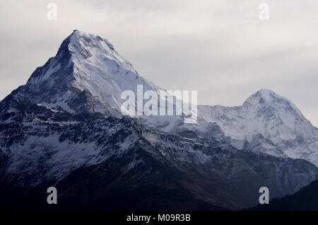 Bergblick von Poon Hill, auf der Annapurna Umrundung in Nepal. Stockfoto