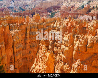 Hoodoo Felsformationen im Bryce Canyon National Park, Utah (USA). Stockfoto