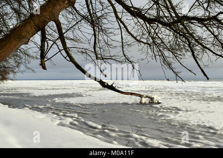 Die malerische Landschaft mit Zweigen und Sonnenuntergang im Winter. Stockfoto