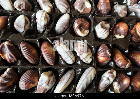 Guylian belgische Schokolade Trüffel Muscheln in ihrer Verpackung. Stockfoto