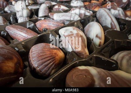 Guylian belgische Schokolade Trüffel Muscheln in ihrer Verpackung. Stockfoto