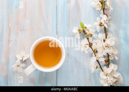 Tasse Tee und Zweige der blühenden Aprikose auf alte, schäbige Hintergrund. Stockfoto