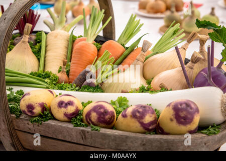 Korb der Unbefleckten Gemüse im Morton-in-the-Marsh zeigen. Stockfoto