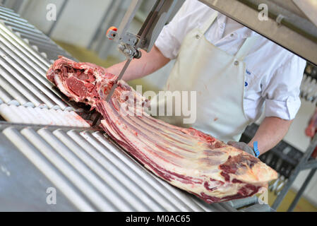 Metzgerei arbeitet in einem Schlachthof und Sägen Rippen von Rindfleisch für den Verkauf und Weiterverarbeitung als Wurst Stockfoto