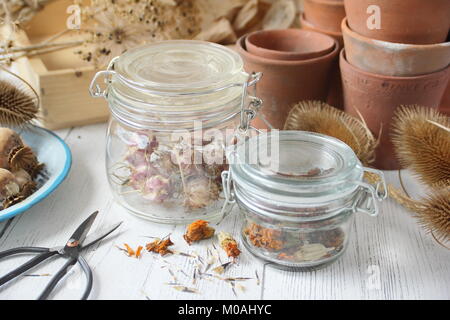 Speichern und Speichern von getrockneten Blumen Samen von einem Englischen Garten einschließlich Ringelblume, Nigella, Allium, Mohn und teasels gesammelt, in luftdichten Glas Glas Stockfoto