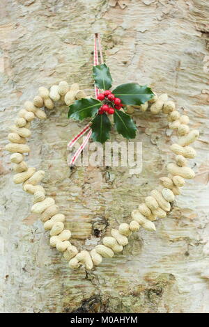 Erstellen einer schnellen, Winter herzförmigen Bird Feeder von Monkey nuts (Schritt-für-Schritt Anleitung). Schritt 3/3: Ort des Schrägförderers wo Sie können sich gerade Vögel Stockfoto