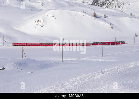 Berühmten Bernina Roten Zug zu Fuß durch Schnee Landschaft zwischen Italien und der Schweiz. Stockfoto