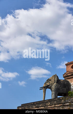 Elefant Schnitzerei, Wat Chedi Luang Temple und Begründung, Chiang Mai, Thailand Stockfoto