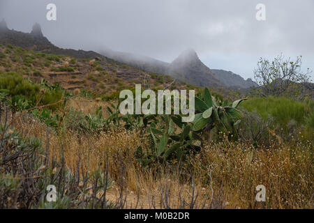 Blick auf Teno Gebirge Stockfoto