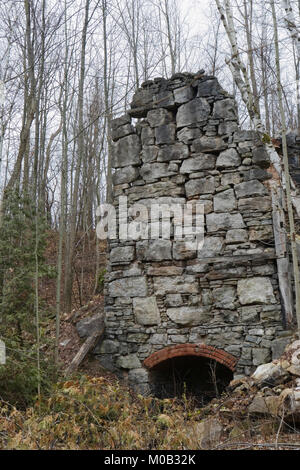 Herbst Wald Ontario Stockfoto