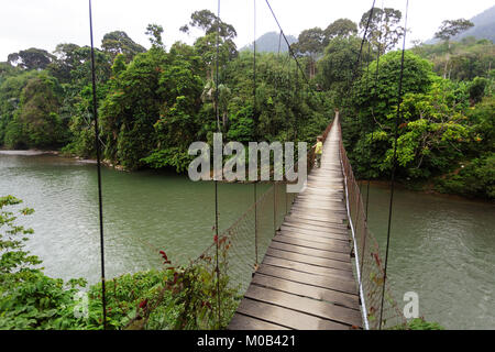 Junge western Boy crossing Hängebrücke in Gunung Leuser National Park von Tangkahan, Sumatra, Indonesien Stockfoto