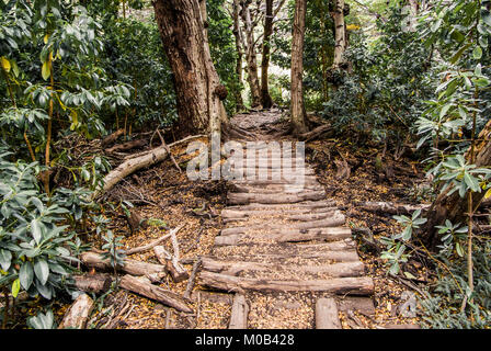 Wodeen weg im Parque Nacional Tierra del Fuego, hier können Sie das Ende der Welt sehen Stockfoto