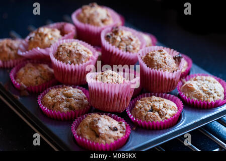 Hausgemachte Apfel und sultana Muffins Stockfoto