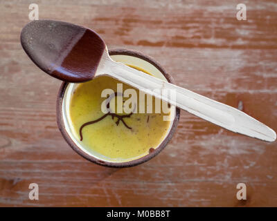 Leckeres warmes Vanille Creme mit Amaretto und Löffel aus Holz mit Schokolade überzogen Stockfoto