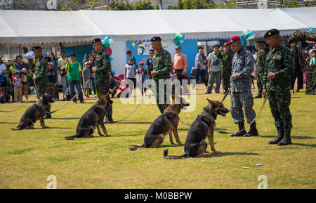 Bangkok, Thailand - 13. Januar 2018: Deutscher Schäferhund Gehorsam Ausbildung in der thailändischen Armee Basis, die für die Öffentlichkeit in Children's Day 2018 Stockfoto