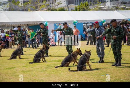 Bangkok, Thailand - 13. Januar 2018: Deutscher Schäferhund Gehorsam Ausbildung in der thailändischen Armee Basis, die für die Öffentlichkeit in Children's Day 2018 Stockfoto