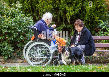 Seniorenrollstuhl in einem Garten, Seniorenpaar, Hundemann und Hundefrau Altern Seniorenpaare der Bevölkerungsgeneration sitzen zusammen Stockfoto