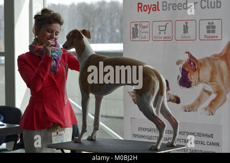 St. Petersburg, Russland - 23 April, 2017: Besitzer mit Hund auf den Hund zeigen Frühling Petersburg 2017. Diese internationale Hundeausstellung ist zum 15. Mal statt Stockfoto