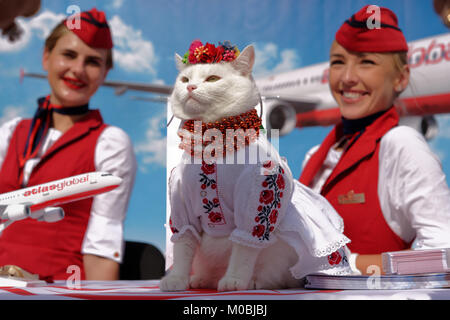 Kiew, Ukraine - 1. Oktober 2016: Weiße Katze in ukrainischer Nationaltracht gekleidet und Blume Kopfschmuck in der Förderung der türkischen Luftverkehrsgesellschaft Atlas Global Stockfoto