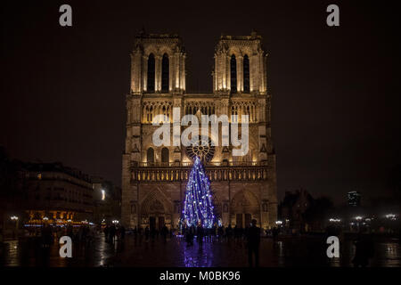 PARIS, Frankreich, 20. Dezember 2017: Notre Dame de Paris Dom bei Nacht mit den traditionellen Weihnachtsbaum vor. Notre Dame ist eine der bigg Stockfoto