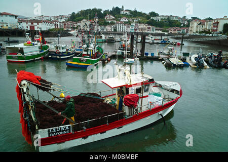 Fischerboote zurück zu bringen, Seegras und Algen, als marine Zutaten in eine breite Palette von Meeresalgen infundiert Haut Produkte verwendet Stockfoto