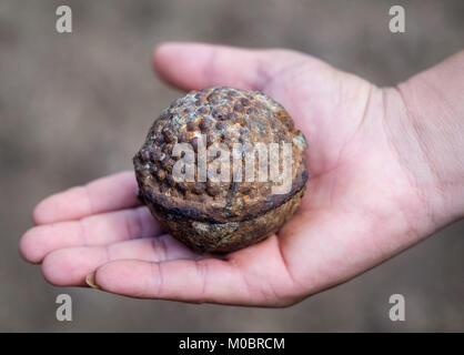 UXO Clearance Secong Provinz Laos - blu26 Cluster Bombe Stockfoto