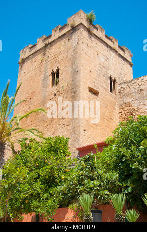 Die Burg von Denia, Denia, Alicante, Spanien. Stockfoto