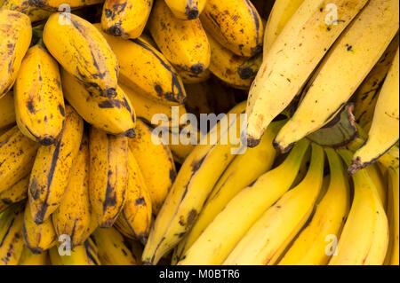 Die Trauben reifen gelben Bananen gestapelt in einem Haufen auf ein Outdoor-Bauernmarkt für tropische Früchte in Rio De Janeiro Brasilien Stockfoto