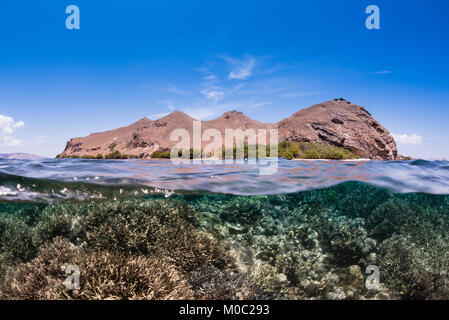 Die oberhalb und unterhalb der Insel Siaba-Kecil im Komodo National Park, Indonesia. aus dem Wasser fotografiert, die die Korallen an einem sonnigen Tag. Stockfoto