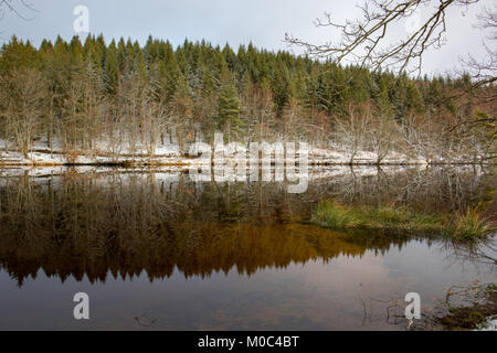 Reflexion in Lac de Faux im Winter in der Nähe von Faux-la-Montagne, Creuse, Nouvelle-Aquitaine, Frankreich Stockfoto