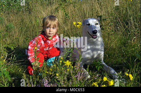 Kleine Mädchen und Hund auf Sommer Tag im Wald Stockfoto
