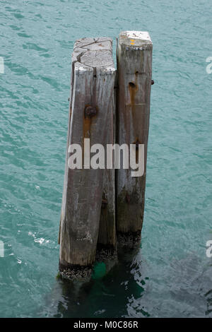 Drei verfallenden und stillgelegten Holz- Stapel, in der Nähe von Swanage Pier, Dorset Stockfoto