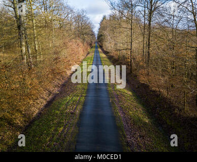 Luftaufnahme von einer Geraden schmale Straße in einem Wald im Winter Stockfoto