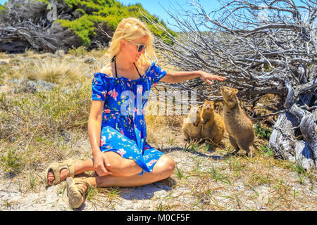 Touristische mit drei Quokka Stockfoto