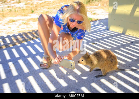 Frau selfie Quokka Stockfoto