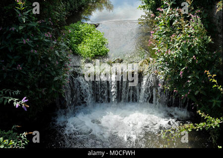 Fließendes Wasser und überwucherte Überreste eines Gatter auf der Navigations- oder Louth Louth Kanal erstellt vom Fluss Lud und die von der Lincolnshi Stockfoto