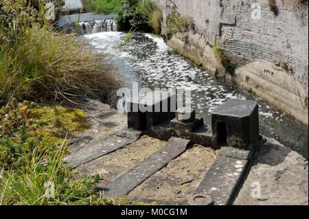 Überwucherte Überreste eines Gatter auf der Navigations- oder Louth Louth Kanal erstellt vom Fluss Lud und die von der Stadt an die Riv Lincolnshire Stockfoto