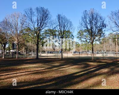 Leer Baseball Feld im Winter an der Westside City Park mit Bäumen und lange Schatten. Gainesville, Florida, USA. Stockfoto