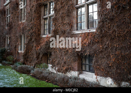 Cambridge UK Gebäude in Pflanzen bedeckt Stockfoto