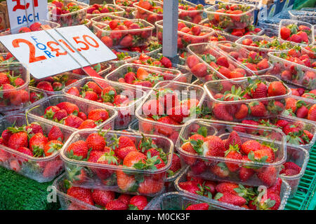 Körbchen Erdbeeren auf einem Marktstand. Sie sind nass, weil es draußen geregnet hat. Stockfoto