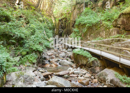 Flume Gorge in Franconia Notch State Park Stockfoto