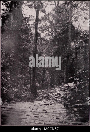 "Unsere Suche nach einer Wüste; ein Konto von zwei ornithologische Expeditionen in Venezuela und in Britisch-guayana' (1910) Stockfoto