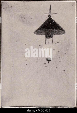 "Unsere Suche nach einer Wüste; ein Konto von zwei ornithologische Expeditionen in Venezuela und in Britisch-guayana' (1910) Stockfoto