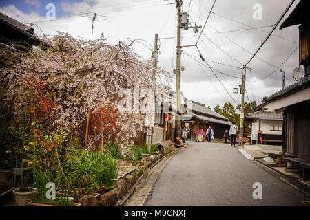 Nara, Japan - Apr 4, 2014. Die Menschen gehen auf die Straße am Kirschblüte in Nara, Japan. Nara ist Japan erste dauerhafte Kapital, in der Ihr sicher Stockfoto