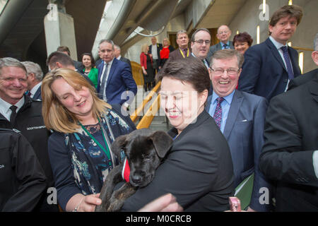 Ruth Davidson MSP mit Welpen im schottischen Parlament Pic Peter Devlin Stockfoto