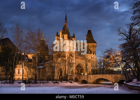 Die Burg von Vajdahunyad in Budapest bei Nacht der Eingang mit Brücke aus Stein Stockfoto