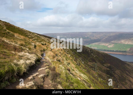 Der Pennine Way an torside Clough, Bleaklow, in die Richtung der Stauseen in der longdendale Tal, Derbyshire, England. Stockfoto